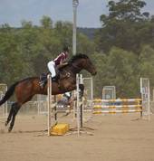 Show Jumping is a popular sport at Benalla Pony Club
