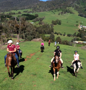 Our end of year trail ride and Christmas rally is always lots of fun with parents able to join their children on horseback