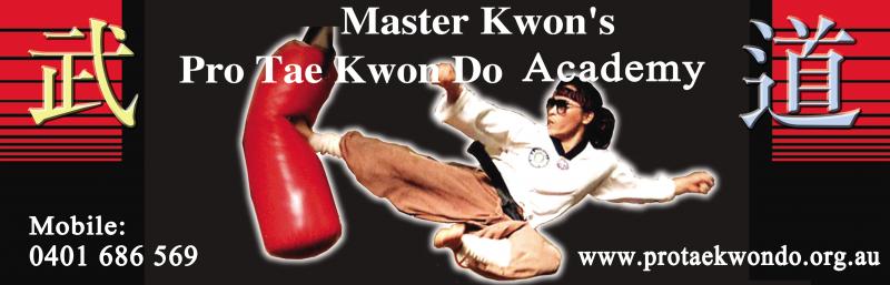Master Kwon's Pro Tae Kwon Do Academy Since 1991 - Taekwondo Classes