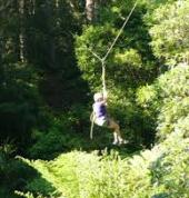Try out the flying fox