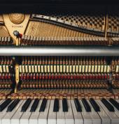 Piano Lessons