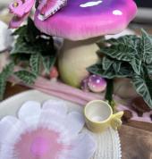 Fairy picnic central coast nsw
