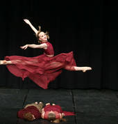 Performance and Extension programs for Elite Dancers