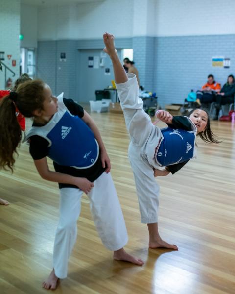 Free Trial Weston Taekwondo Clubs _small