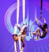 Aerial Circus performance