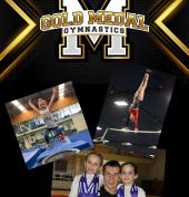 Gold Medal Gymnastics Ashmore Gymnastics Classes & Lessons 1_small