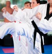 Professional Taekwondo Boxing Moonee Ponds Taekwondo Schools 4_small