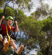 Flying Fox