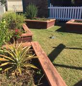 Vegetable gardens