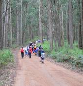 Rosanna Cubs - Scouts Australia Rosanna Scouts 1_small