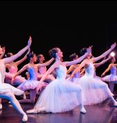 The Dance Co. Sydney (Woollahra Campus) Woollahra Ballet Dancing Classes & Lessons 1_small