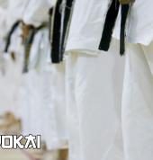 Traditional Japanese Shotokan Karate - A martial arts club for Kids, Adults & Families - Denison Centre, Mawson Lakes, Salisbury Playford - Sensei Dion Risborg
