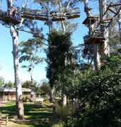 Trees Adventure (Grose River Park) Yarramundi Adventure 3_small
