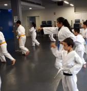 St Ives Karate Academy St Ives Karate Classes & Lessons 2_small