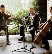 String Musicians Australia North Boambee Valley Other Music Classes & Lessons 1_small