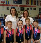 State Pennant Qualifier
