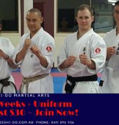 Deshi-Do Martial Arts - Oakleigh Karate and Fitness Centre Oakleigh Karate Classes & Lessons 5_small