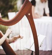 Harpist Sally Beaumont