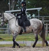 Majestic riding school (Accredited horse riding coach) Collette white Lawrence Horse Riding Classes & Lessons 1_small