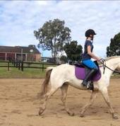 Majestic riding school (Accredited horse riding coach) Collette white Lawrence Horse Riding Classes & Lessons 2_small