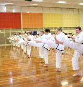 Black Belts in Action.