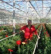 inside the glasshouse