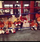 3-8 yrs learning ring side.
