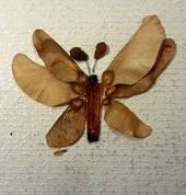 Zahra Gorji Baldivis Art Classes & Lessons 4_small