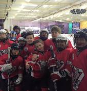 Sydney Bears Ice Hockey Club North Ryde Ice Hockey Clubs 3_small