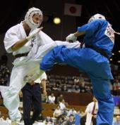 Kudo Daidojuku Queensland Nerang Martial Arts Academies 2_small