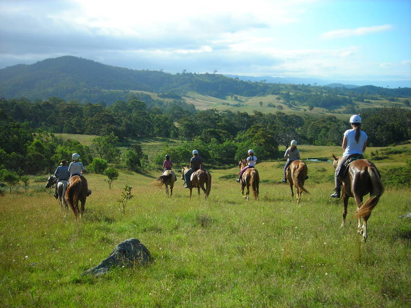 Wolumla Horse Riding Adventures - Horse Riding Classes & Lessons for ...