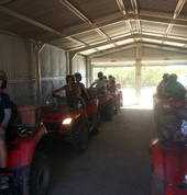 All lined up, ready to go .....