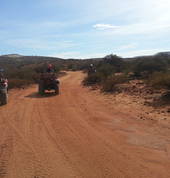 Exploring the bush on a quadbike - so much fun, so interesting.