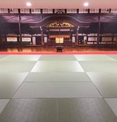 Downstairs dojo