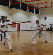 Seido Bundoora Weapons Session