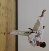 Roundhouse Kick