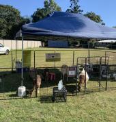 ABC Animal Farm Brisbane Party Hire 1_small