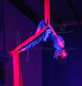 Aerial Silks