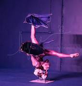 Contortion Spinning Carpets