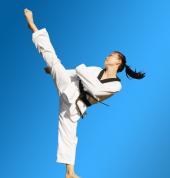 Martial Arts in Villawood for kids teens and adults