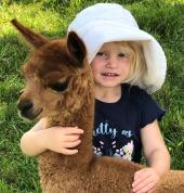 Iris Lodge Alpacas. Jilliby Outdoor & Adventure School Holiday Activities 1_small