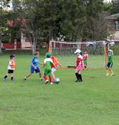 Grasshopper Soccer Brisbane North West & South East Brisbane Pre School Sports 6_small