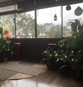 Roots Yoga Campbelltown Yoga 3_small