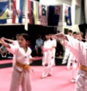 Adelaide Taekwondo Academy Norwood Taekwondo Clubs 2_small