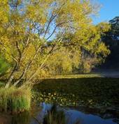 Jubilee Lake