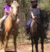 Riding through the woods