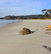 Spring Beach