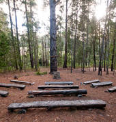Bush Chapel