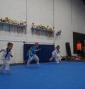 Taekwondo Fitness