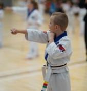 Taekwondo Discpline and Confidence